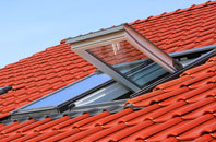 Redgrave roof window